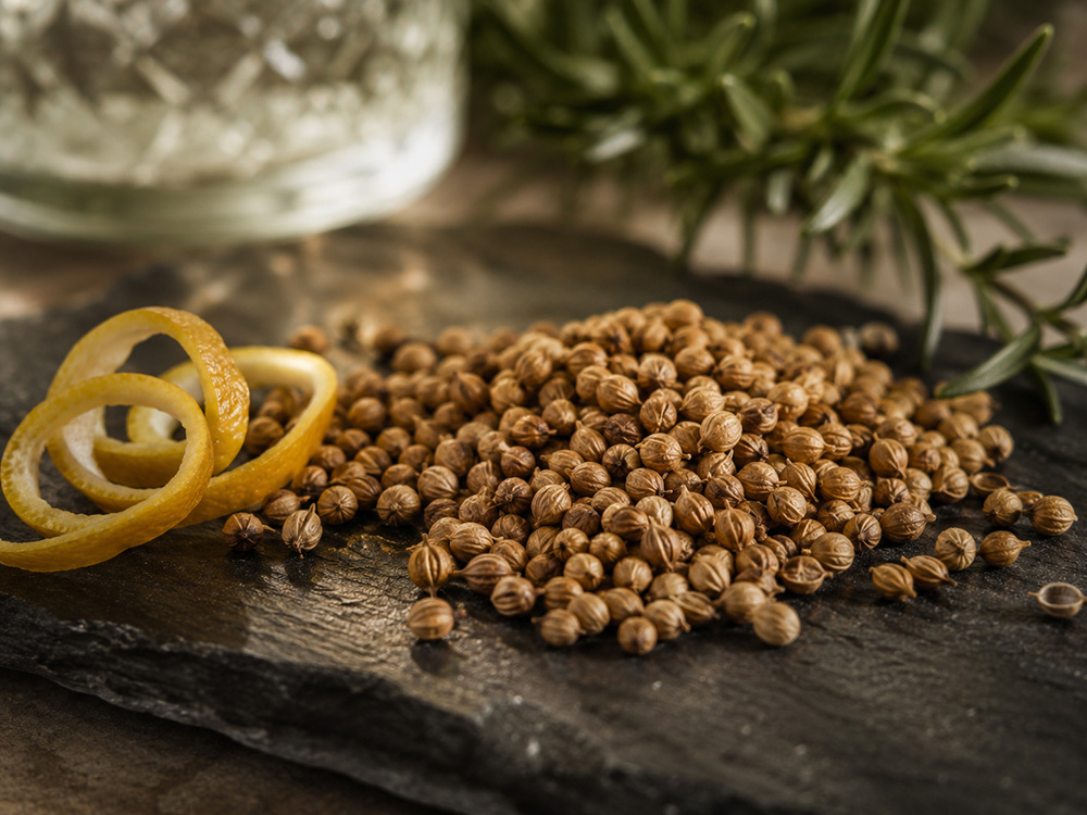 Semi di coriandolo utilizzati come botanica nel gin