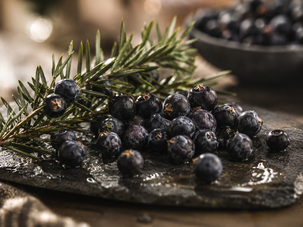 Semi di ginepro, cuore aromatico del gin