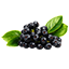Bacche di aronia