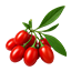 Bacche di Goji