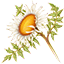 Cardo carlina