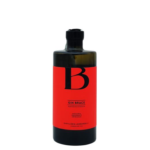 Gin Brace Leonardelli