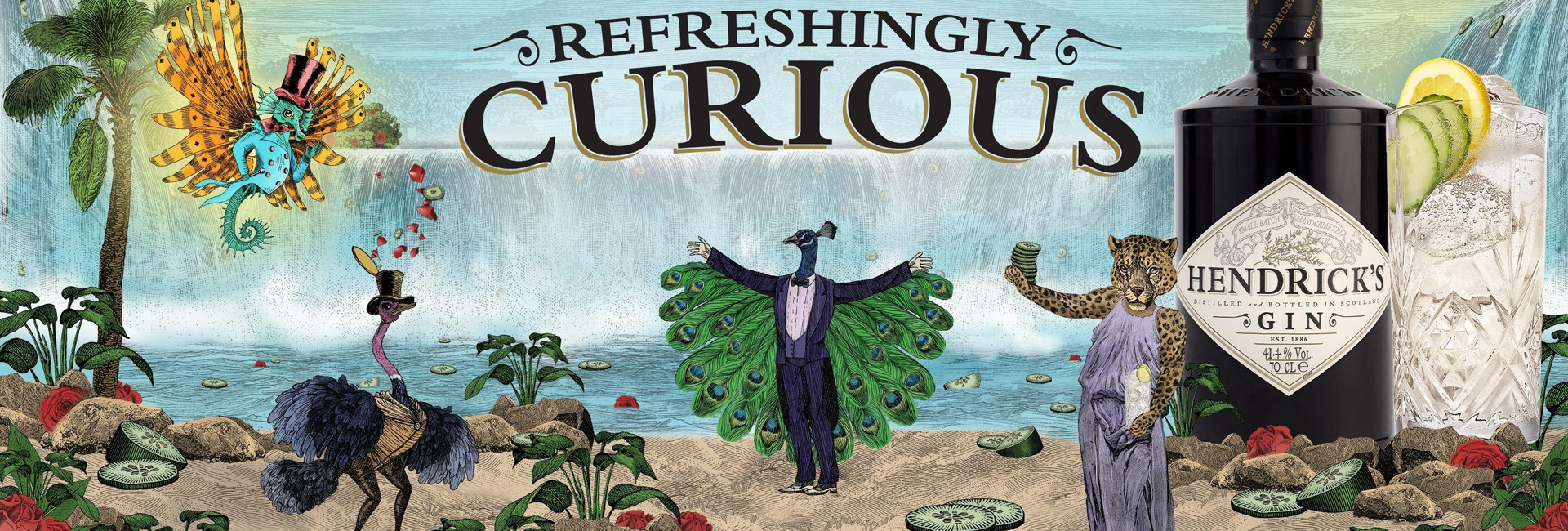 Gin Home Page Slider